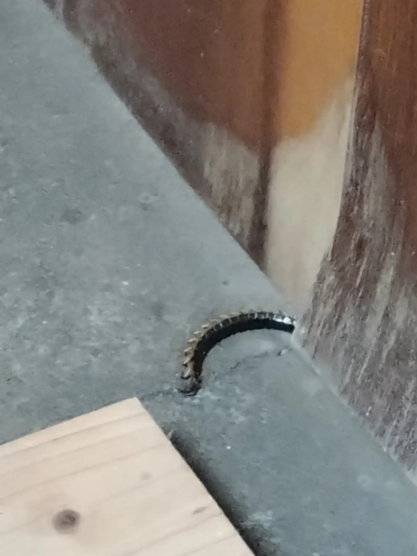 床まわりの確認