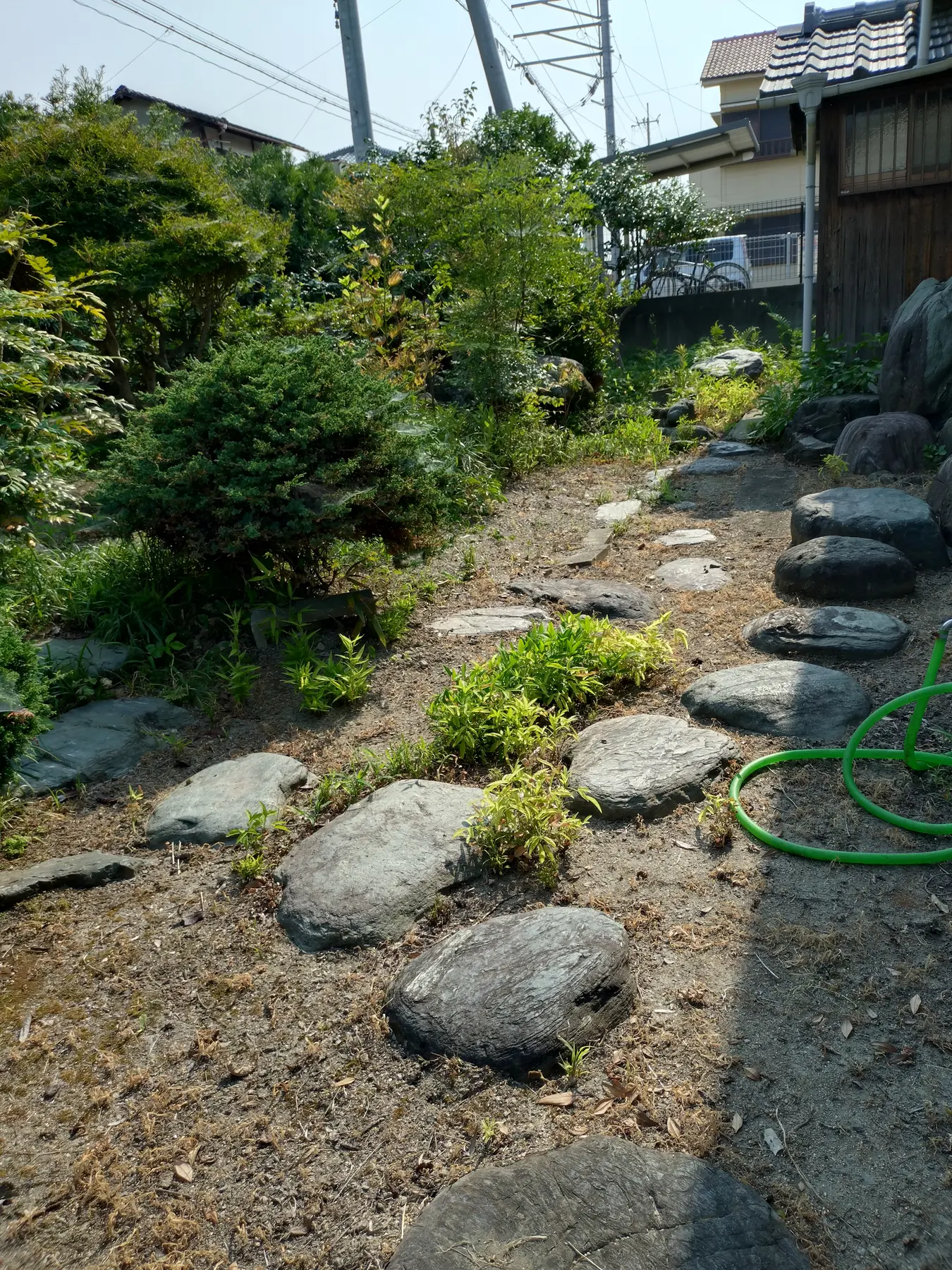 庭の飛び石
