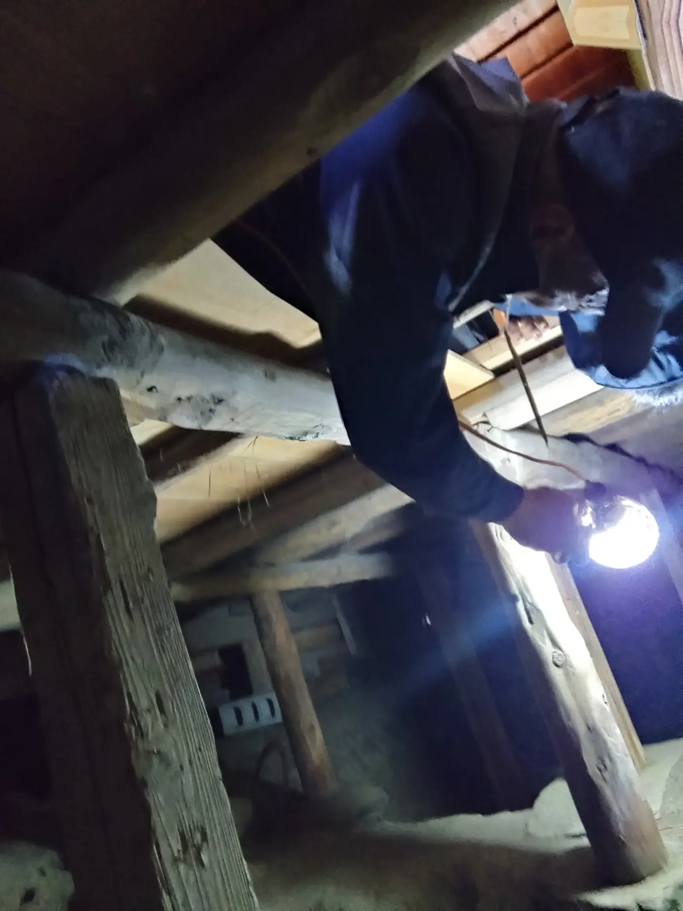 床下の作業